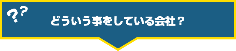 どういう事をしている会社?