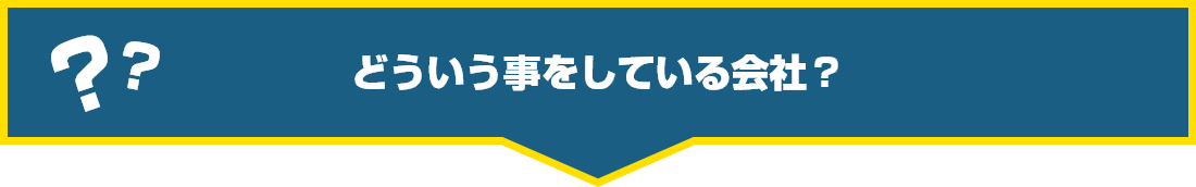 どういう事をしている会社?